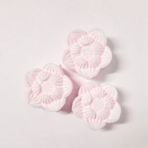 Liola Luxuries Shower Steamers Merry Berry